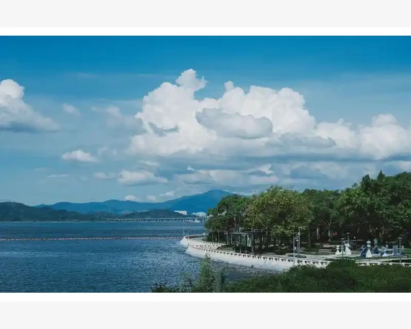 补气的好选择，中医推荐用什么煮水喝？