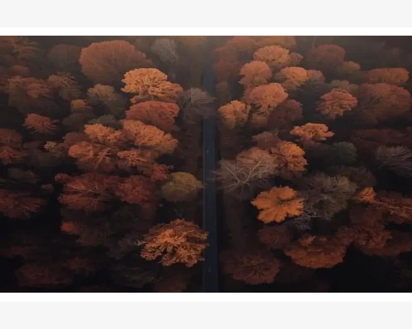 受凉胃疼调理视频